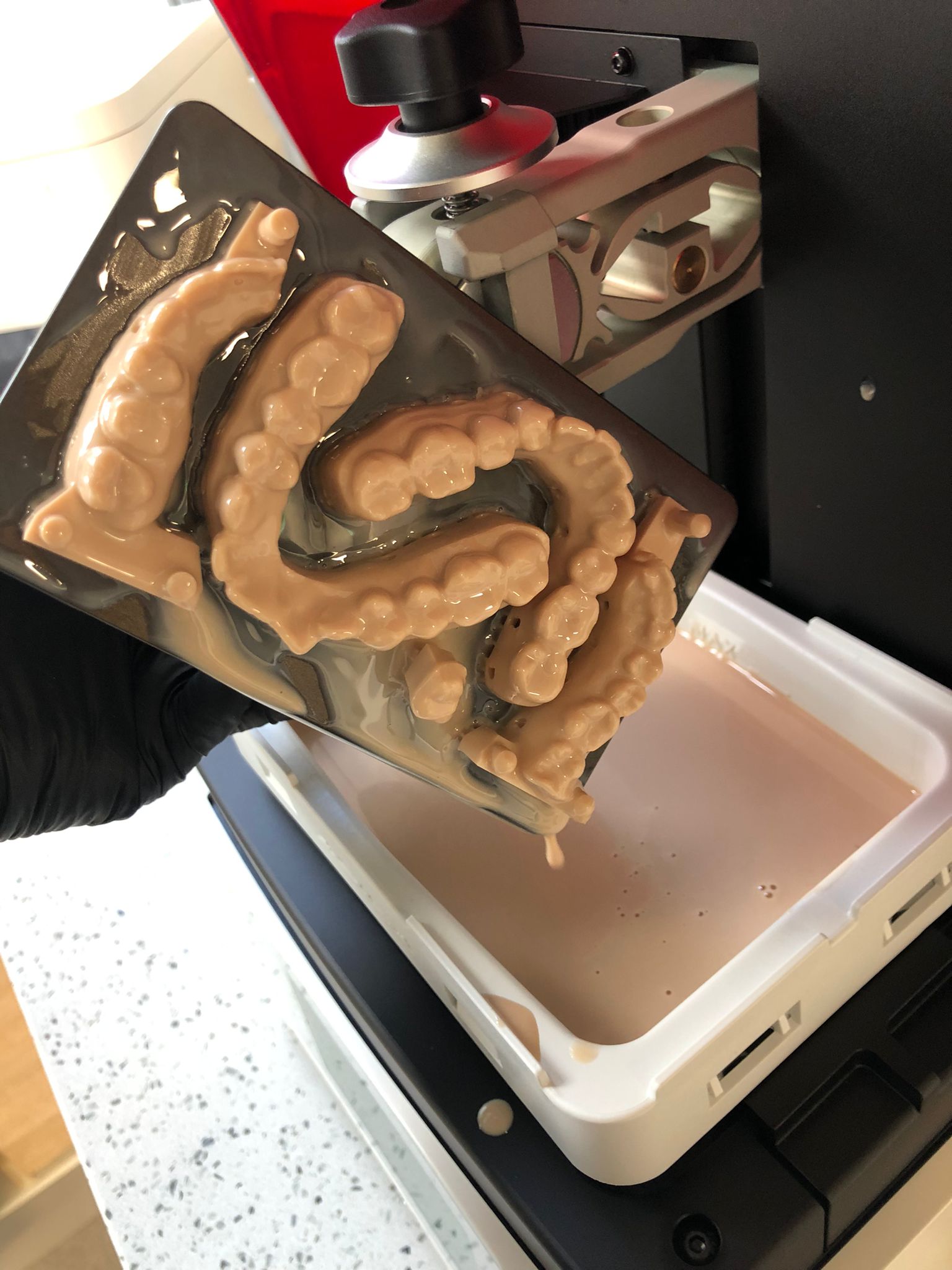 WhatsApp Image 2026 02 26 at 7.30.11 PM